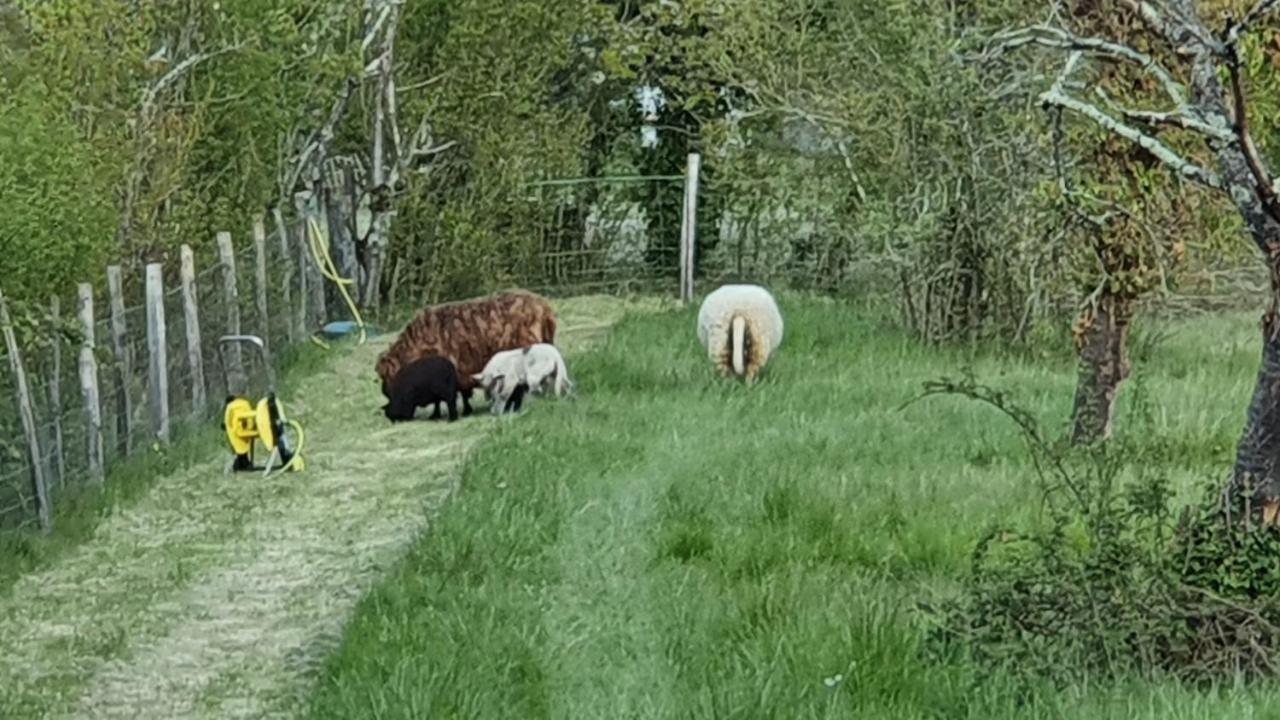 Grande Maison Avec Jardin, Animaux,Au Calme Yviers Bagian luar foto