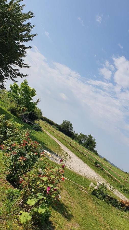 Grande Maison Avec Jardin, Animaux,Au Calme Yviers Bagian luar foto